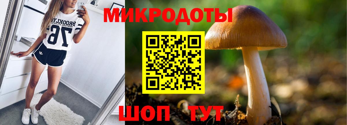 Псилоцибиновые грибы прущие грибы Владимир